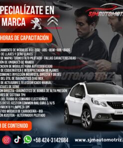 Curso Especialización Peugeot y Citroën – Diagnóstico, Inyección y Electrónica