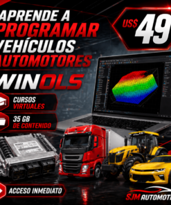 Curso WinOLS: Reprogramación de ECUs Nivel Experto