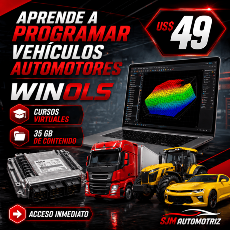 Curso WinOLS: Reprogramación de ECUs Nivel Experto