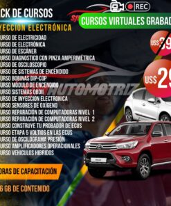 Pack 18 Cursos de Inyección Electrónica (Fuel Injection)