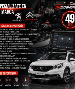 Curso Especialización Peugeot y Citroën – Diagnóstico, Inyección y Electrónica