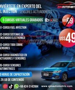 Pack 5 Cursos de Fuel Injection: Diagnóstico e Inyección | 110 h Online