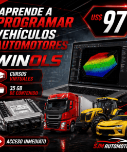 Curso WinOLS: Reprogramación de ECUs Nivel Experto + WinOLS 5.0 Incluido