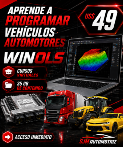 Curso WinOLS: Domina la Reprogramación de ECUs a Nivel Experto, Vehículos Automotores (Online)+SOFTWARE WINOLS 5.0