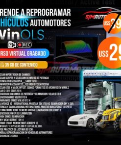 Curso WinOLS: Reprogramación de ECUs y Vehículos Automotores (Online)