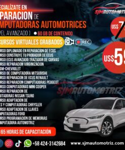 Pack 12 Cursos de Reparación de ECUs (Nivel Avanzado) – Reprogramación, EEPROM/Flash y CAN