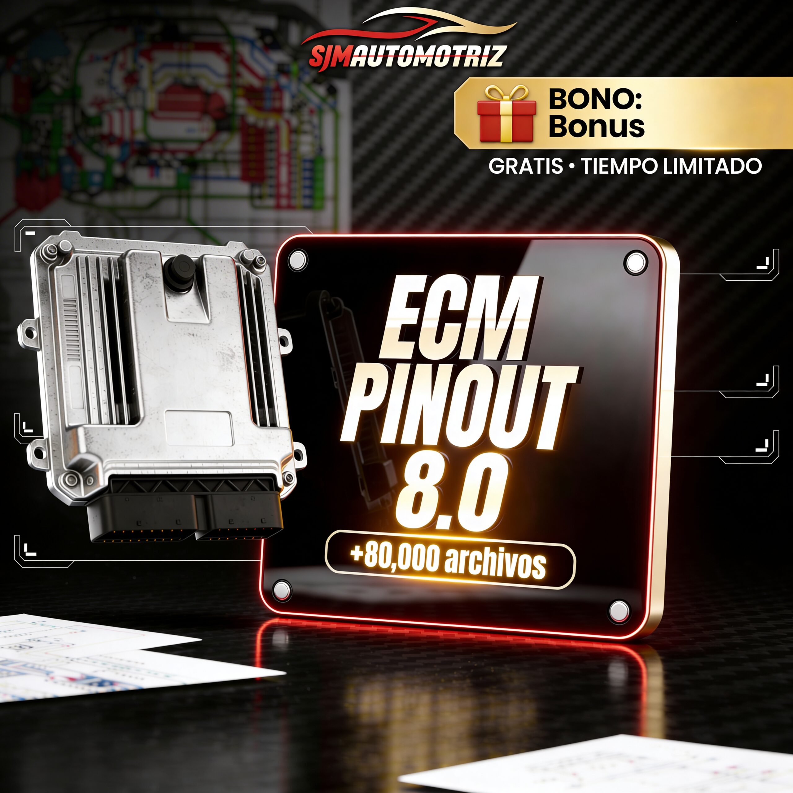 BONUS ECM PINOUT 8.0
