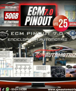 🚀 𝗘𝗖𝗠 𝗣𝗜𝗡𝗢𝗨𝗧 𝟳.𝟬   🖥️