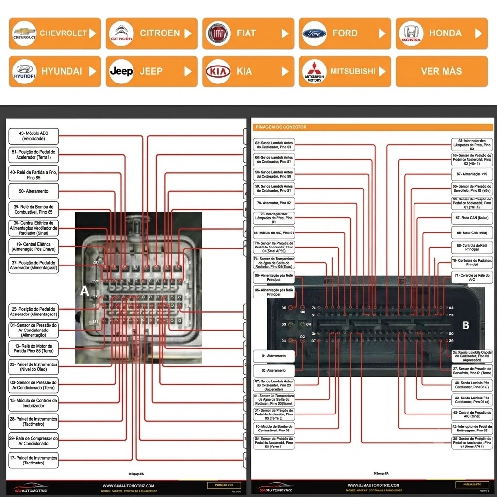 Muestra real PINAGEM ECU 2.0 - diagramas